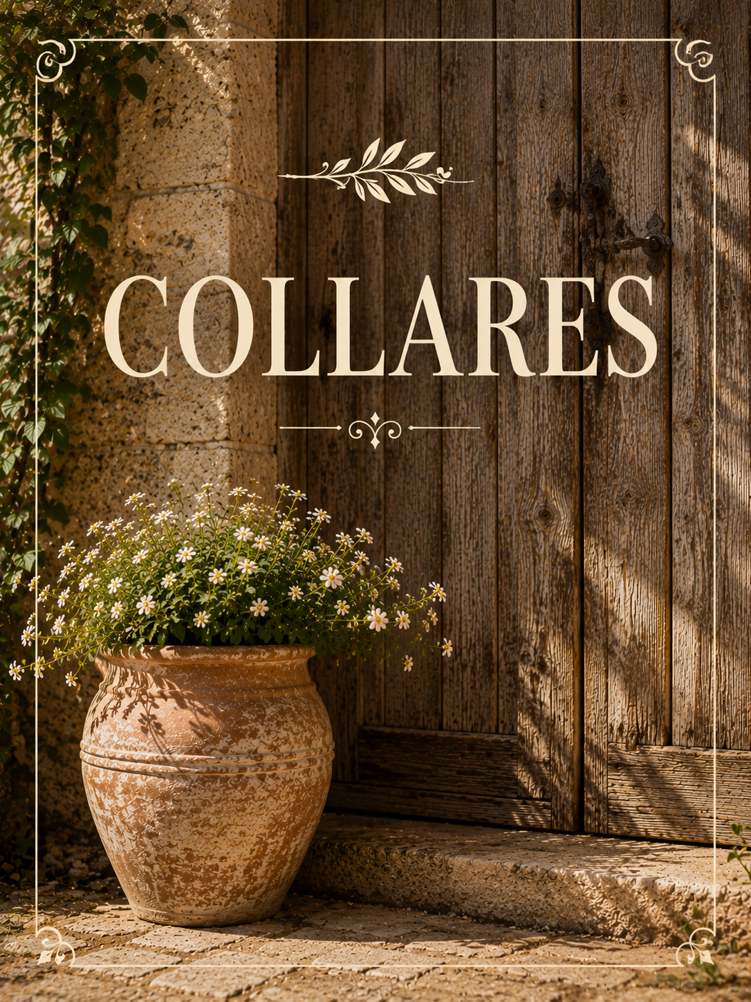 COLLARES