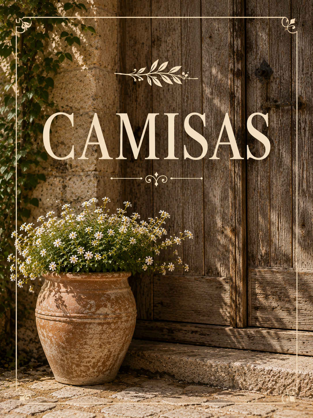 CAMISAS